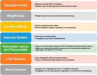 DPP-4 inhibitors for treating T2DM - hype or hope? an analysis based on the current literature